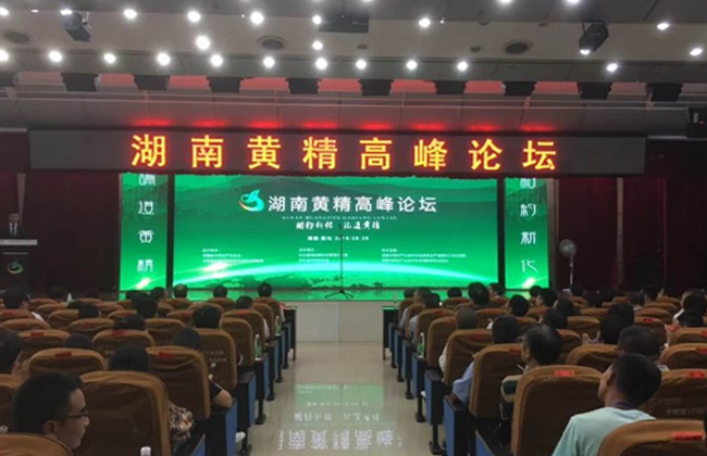 首届“湖南黄精”高峰论坛在新化顺利召开