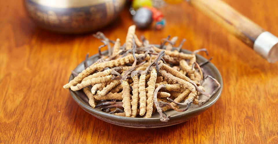 国医大师：养生要“三平、三勤、四知”