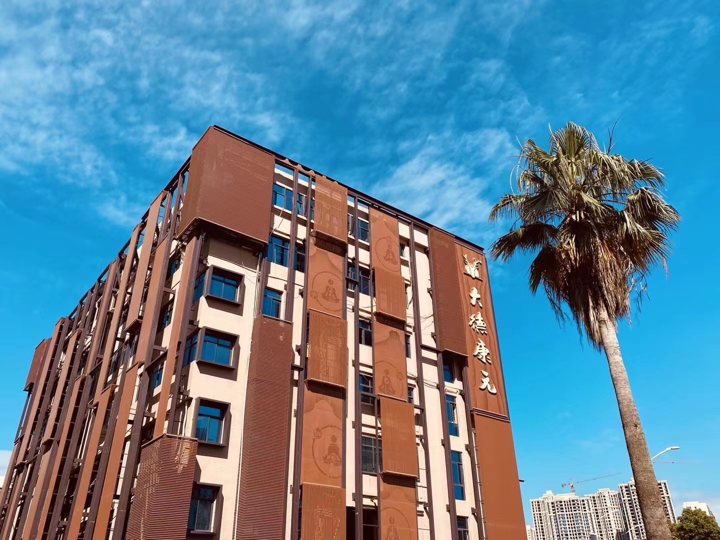 传承不守旧，创新不忘本，大德康元荣膺“泉州老字号”殊荣